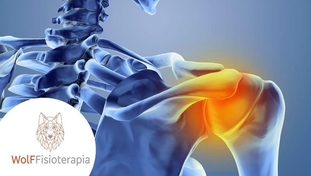 dor no ombro - esqueleto