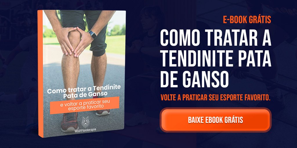 ebook grátis - pata de ganso